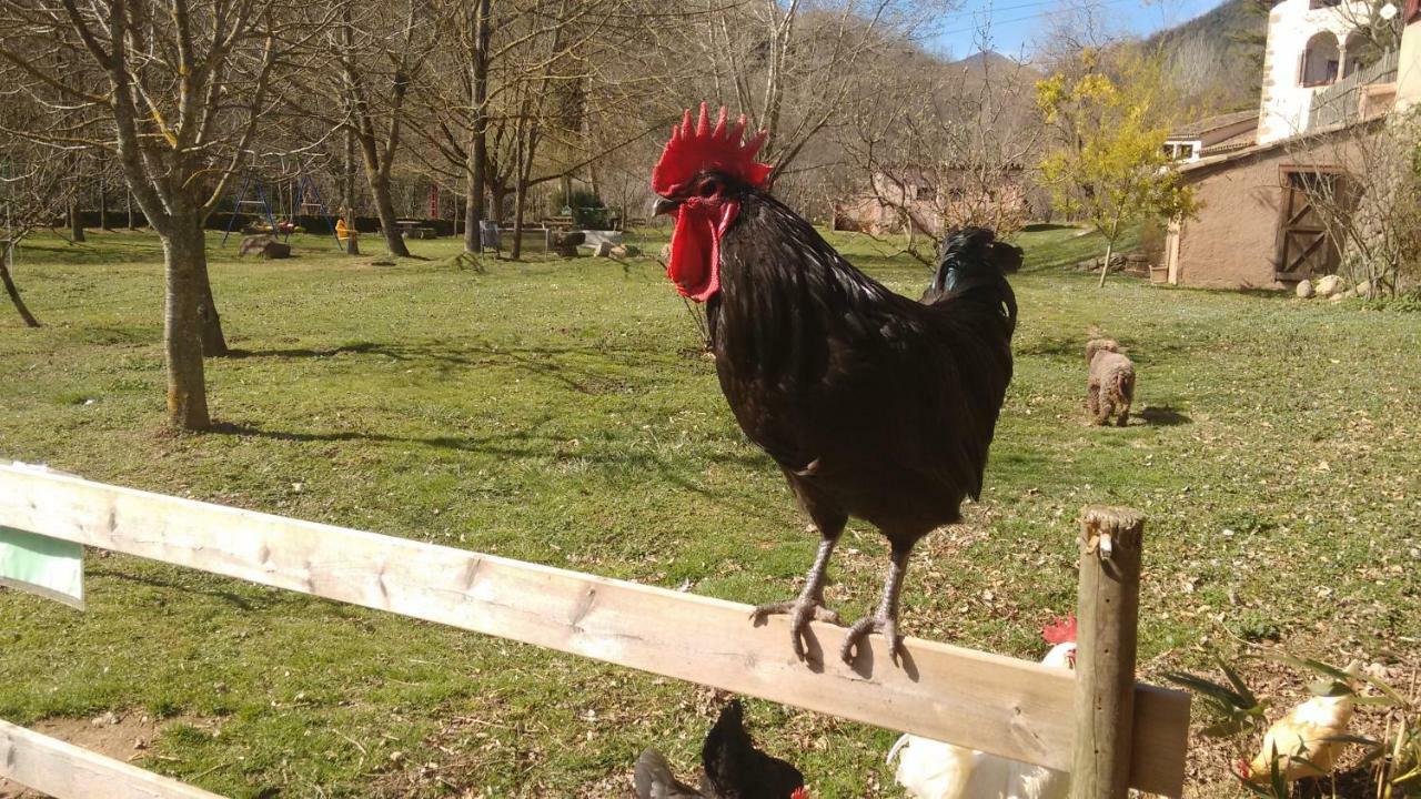 El Molí d'en Solà-Allotjaments rurals La Vall de Bianya Extérieur photo